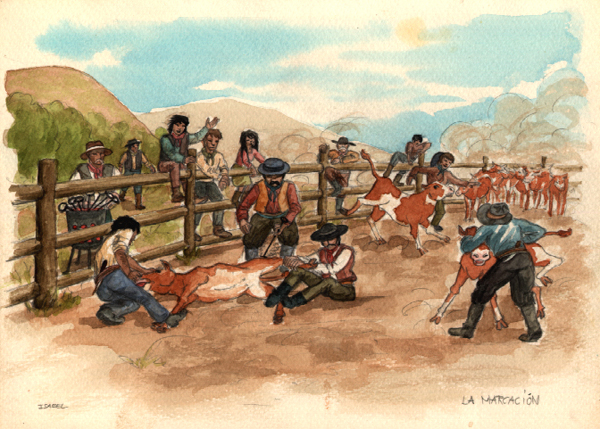 aquarelle la marcacion