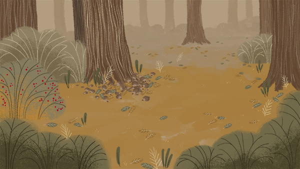 la colline aux cailloux