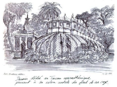 croquis zoo buenos aires